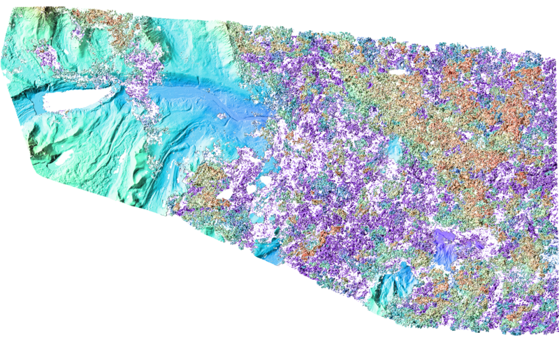 Overview image